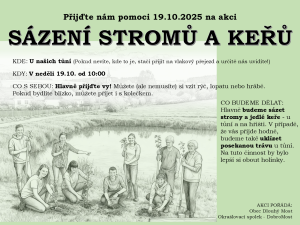 sázení stromů